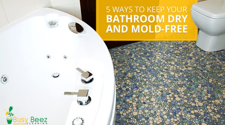 5 Ways to Keep Your Bathroom Dry and Mold-Free