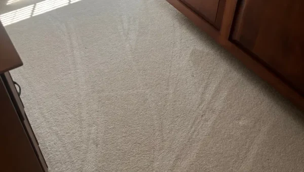 Clean carpet after general house cleaning in Greer, SC